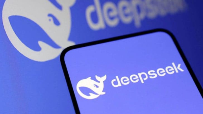 DeepSeek شرکت 