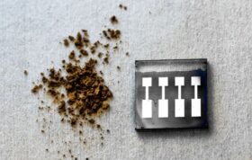 Kraft-lignin-02.jpg