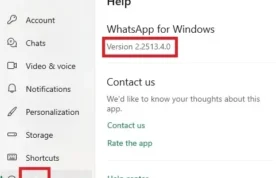 whatsapp-02.webp
