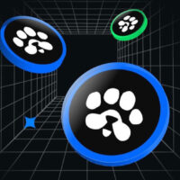 زمان لیست شدن پاز PAWS