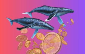 آیا بیت کوین آماده صعود به بالای 100 هزار دلار می‌شود؟