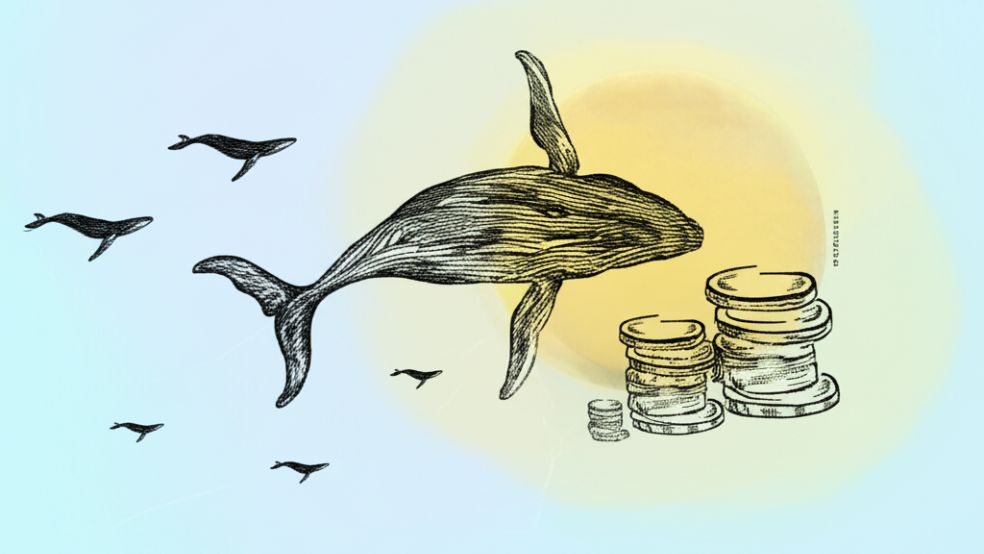 لیکویید شدن ۱۱۸ میلیون دلاری نهنگ رمزارز پس از سقوط بیت کوین!