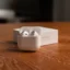 AirPods.webp
