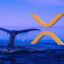 آیا XRP در آستانه جهشی خیره‌کننده است؟