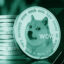 دوج کوین پیشتاز ریزش ها در میان ارزهای اصلی بازار crypto
