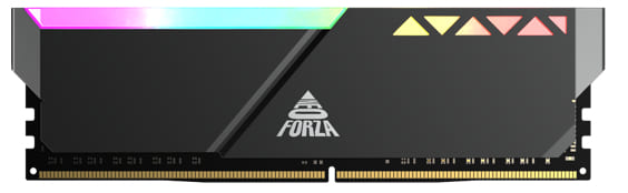 نئوفورزا ddr5  