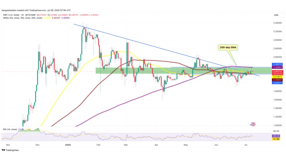 آیا ریپل (XRP) آماده جهش ۷۰ درصدی است؟ همه نگاه‌ها به مقاومت ۳ دلاری!
