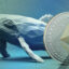 اتریوم مقصد تازه نهنگ‌های بیت کوین؛ فروش ۷۶ میلیون دلار BTC در یک روز