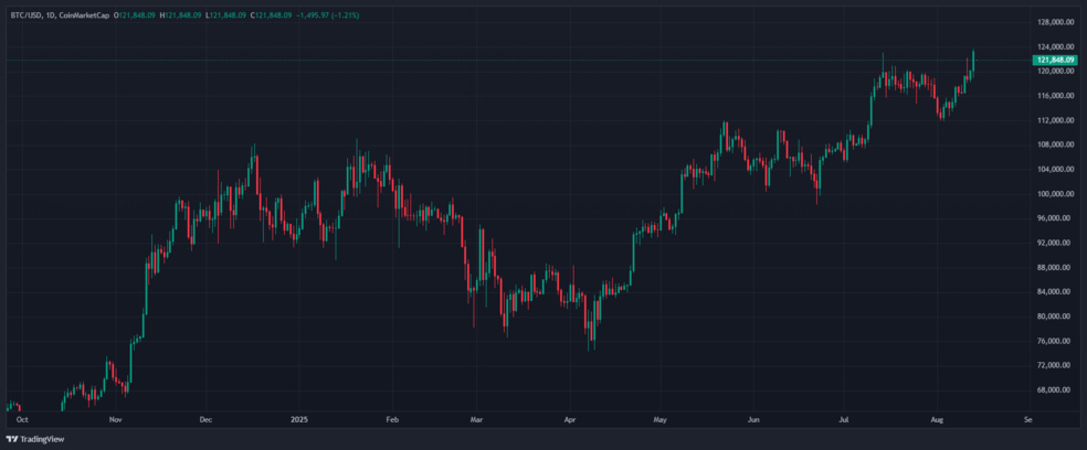 بیت کوین ۱۲۴ هزار دلاری یا آلت کوین‌ها: کدام سلطان بازار می‌شود؟