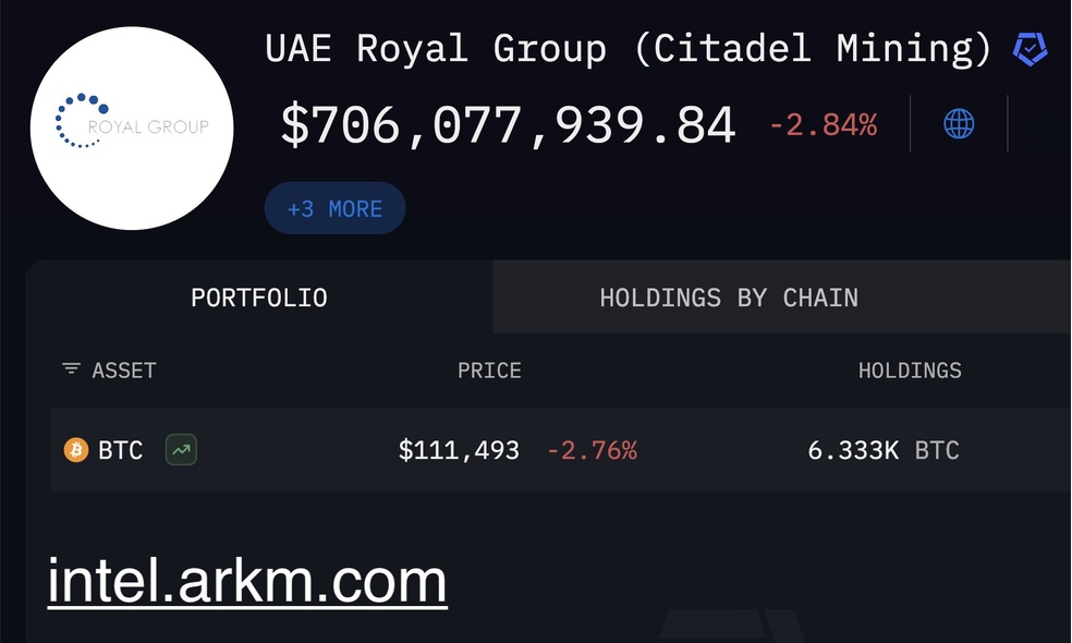 دولت امارات چه مقدار بیت کوین و رمزارز دارد؟