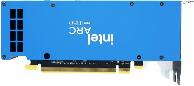 Back-3-980x438.jpg
