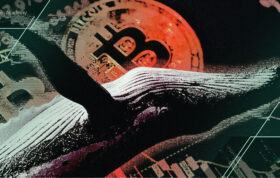 شرط بزرگ علیه بیت کوین! آیا نهنگ‌ها از چیزی خبر دارند که ما نمی‌دانیم؟