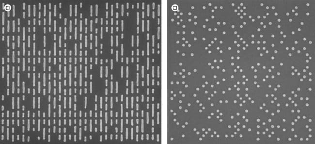 شرکت آمریکایی با بازتعریف مفهوم لیتوگرافی به جنگ ASML میرود دقت بسیار بالای فناوری ساخت Substrate در ابعاد یک نانومتری