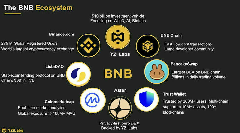 پشت پرده رشد BNB؛ YZi Labs و صندوق ۱ میلیارد دلاری