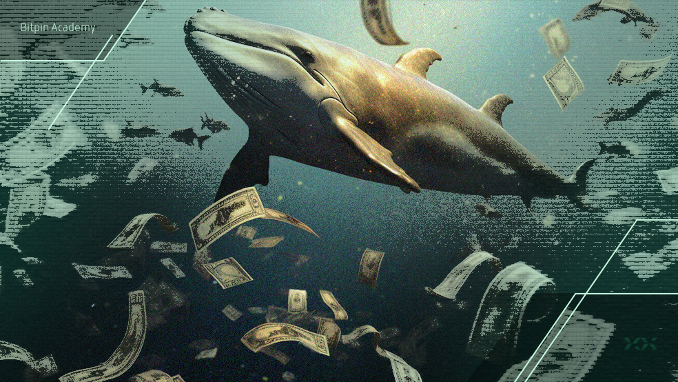 حمله نهنگ‌های این ارز دیجیتال به بازار همزمان با کاهش قیمت‌ها