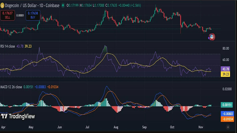 احتمال رشد بیش از ۱.۵ برابری این میم‌کوین با توجه به الگو‌های تاریخی