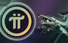 آیا نهنگ‌های پای نتورک رفتاری مثل ریپل از خود نشان داده‌اند؟