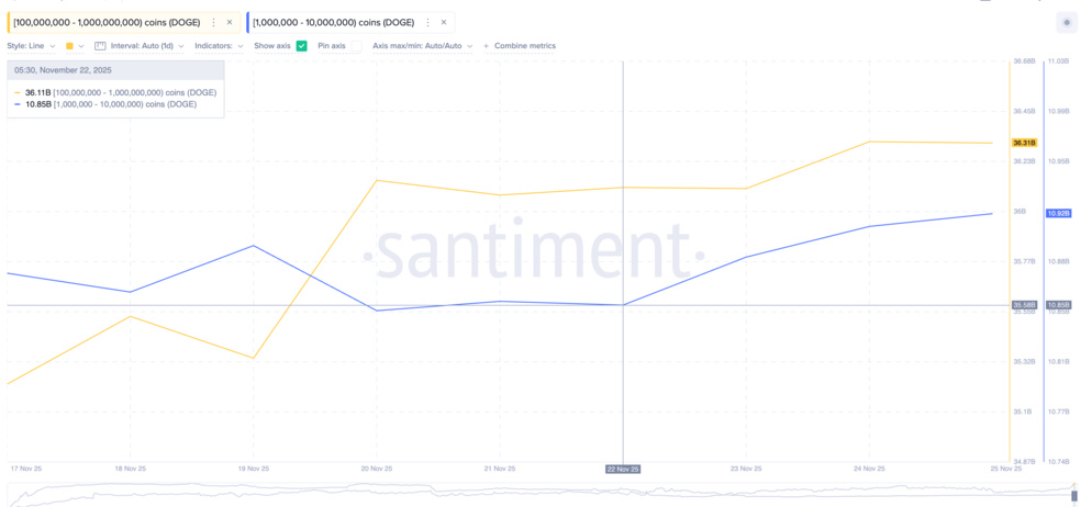 هشدار نهایی برای دوج کوین