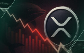 چند درصد از هولدرهای ریپل (XRP) در ضرر هستند؟
