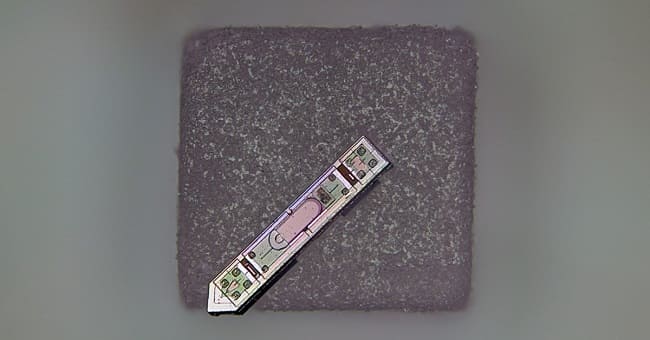 اندازه این ایمپلنت مغزی در مقابل یک دانه نمک