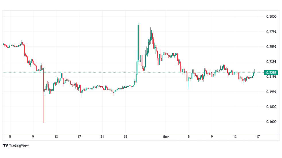 آیا نهنگ‌های پای نتورک رفتاری مثل ریپل از خود نشان داده‌اند؟