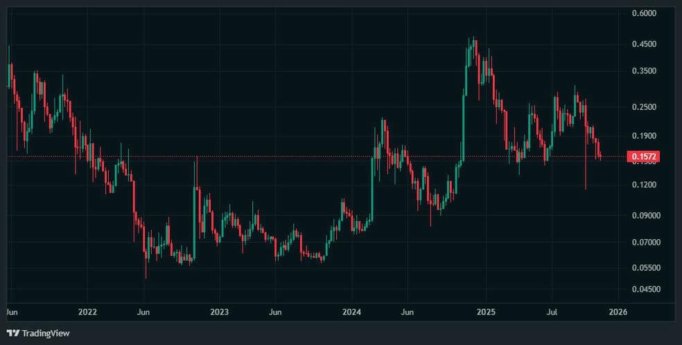 ۲۴ نوامبر، روز سرنوشت‌ساز دوج کوین (DOGE)