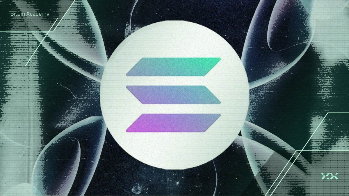 کمپانی ونگارد درهای خود را به روی سولانا باز کرد!