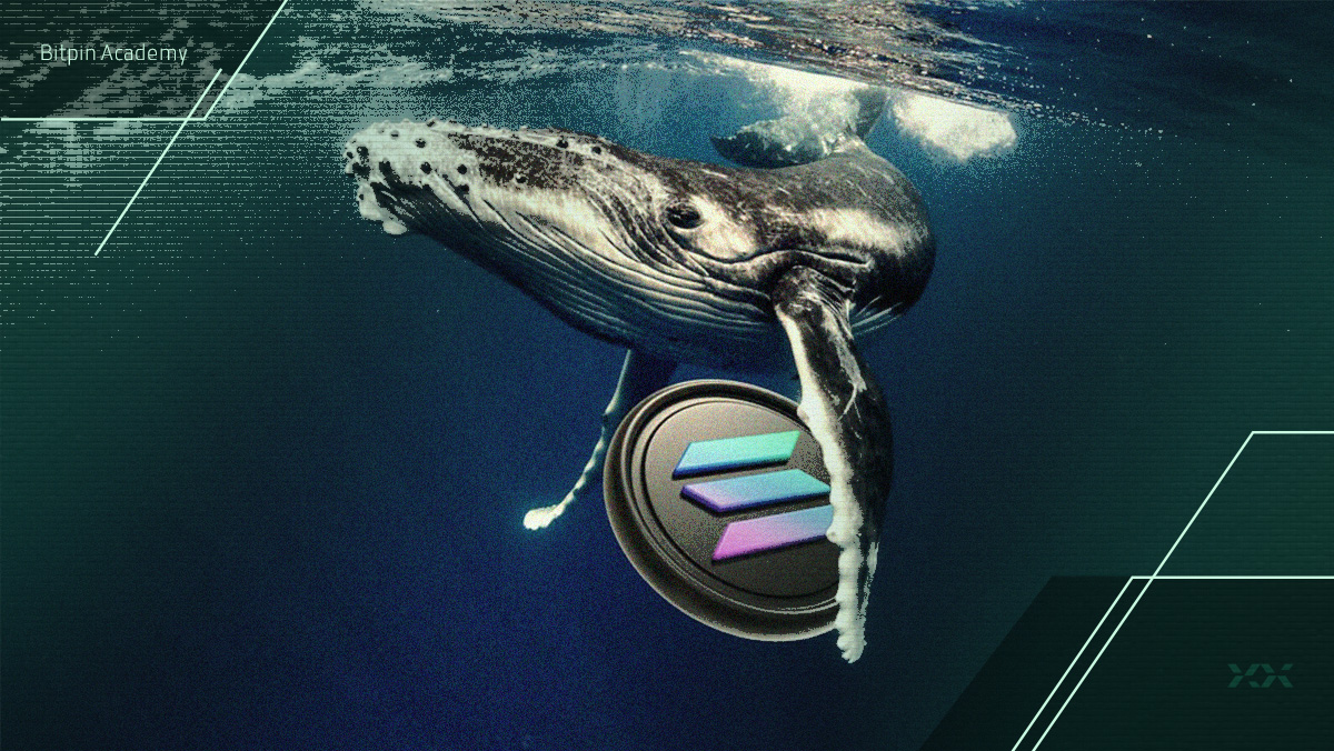 برداشت ۲۸ میلیون دلاری نهنگ سولانا؛ آیا بازار صعودی می‌شود؟