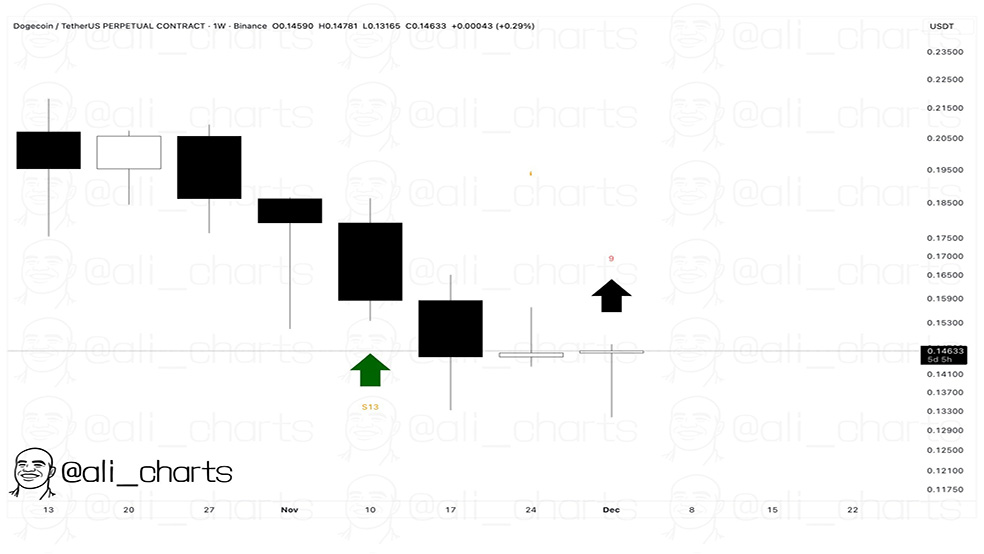 سیگنال خرید این میم‌کوین توسط تحلیلگر مشهور صادر شد