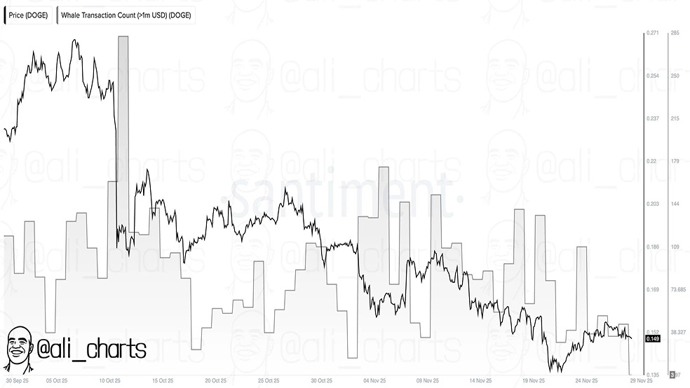 چرا نهنگ‌های این ارز دیجیتال ناپدید شده‌اند؟